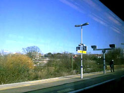 Train View